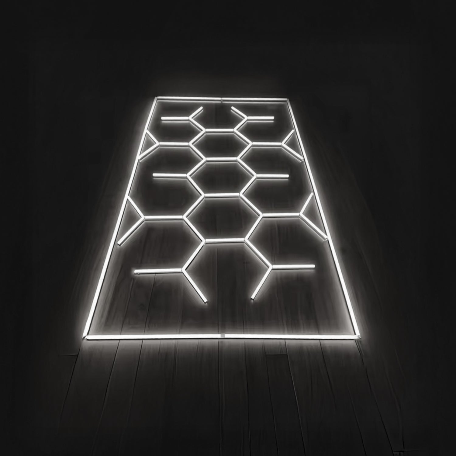 Luz Led Spectra • Rack Panal • 4.78x2.41 mts • 600 Watts • Luz Blanca