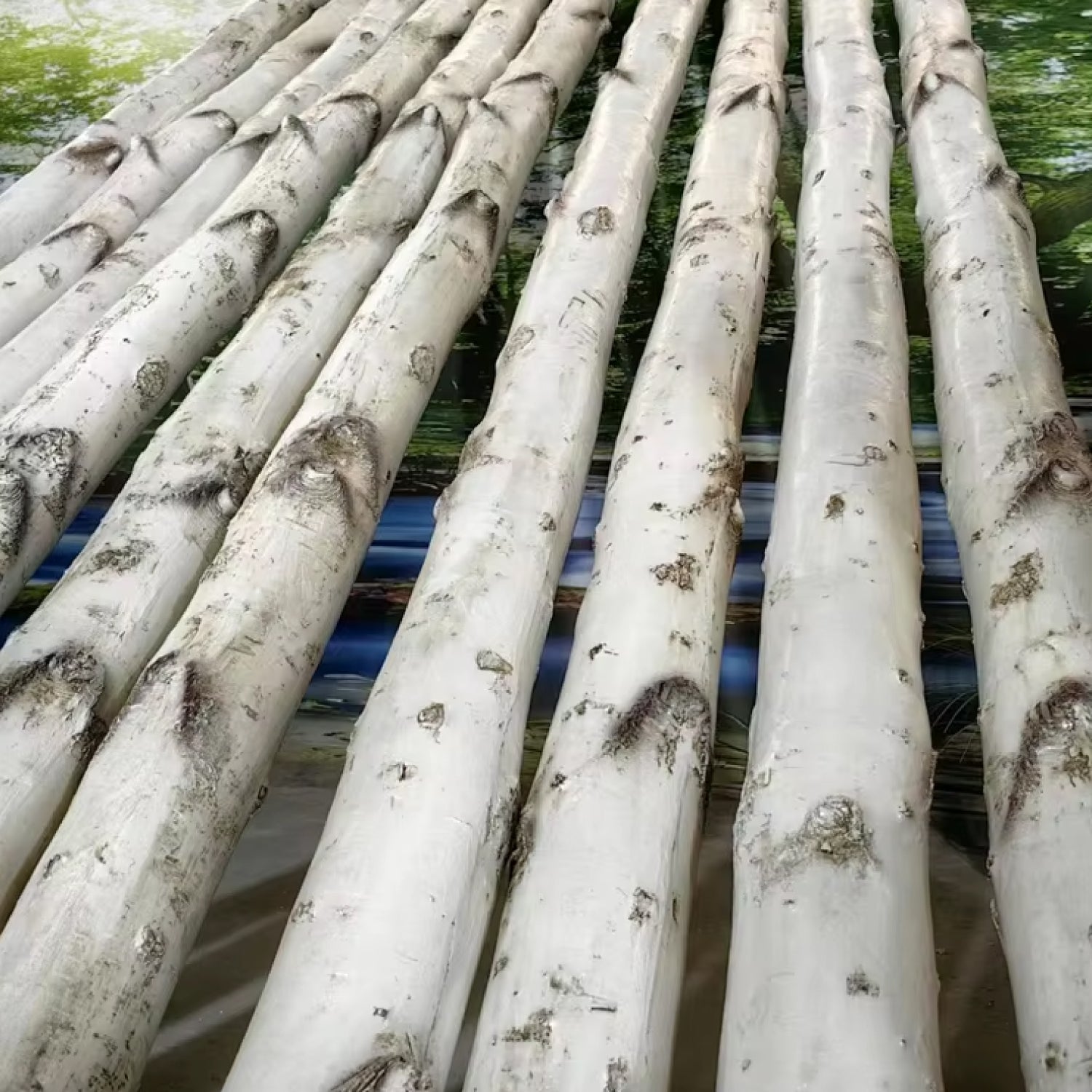 Luz LED Imitación Árbol • 2.9 mts