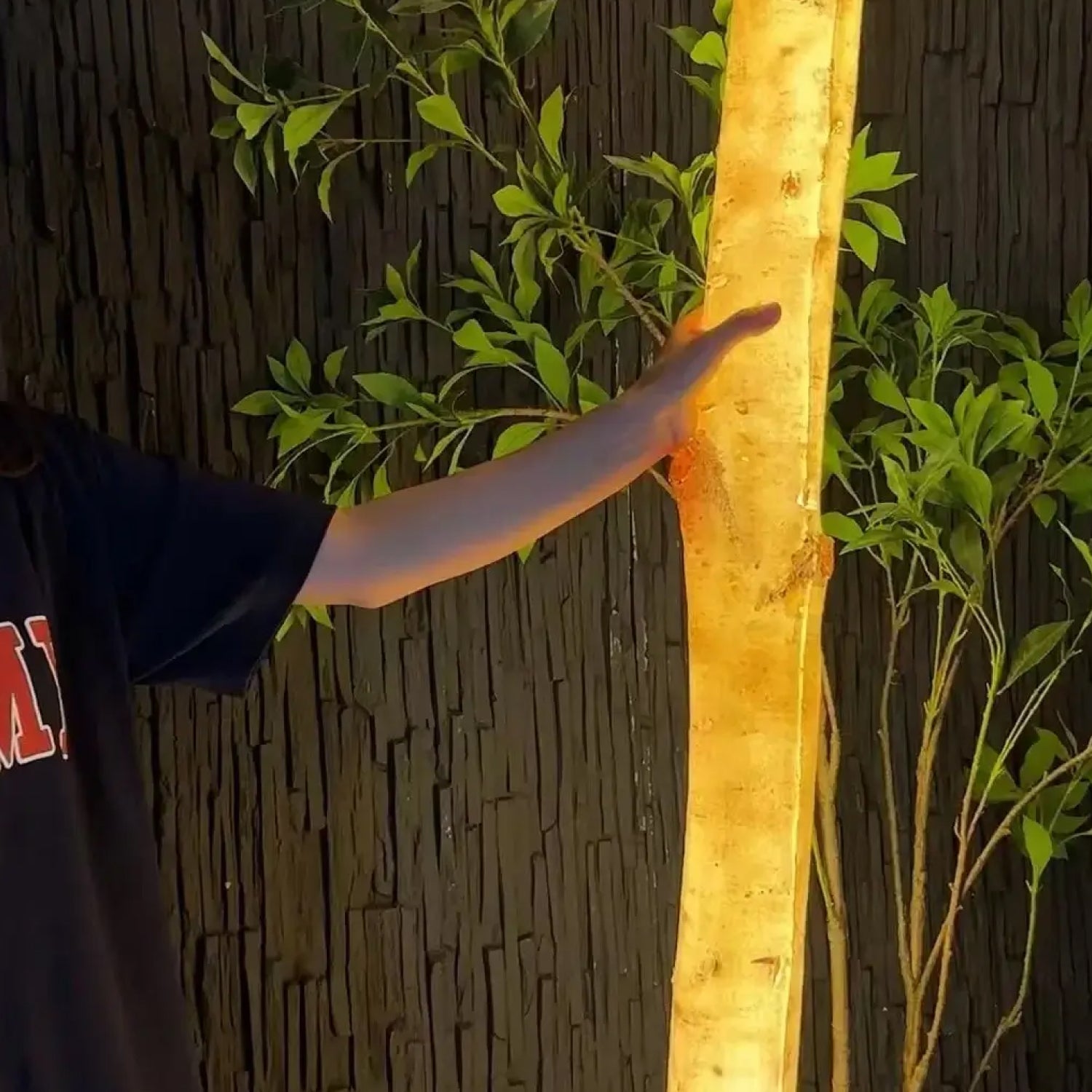 Luz LED Imitación Árbol • 2.9 mts