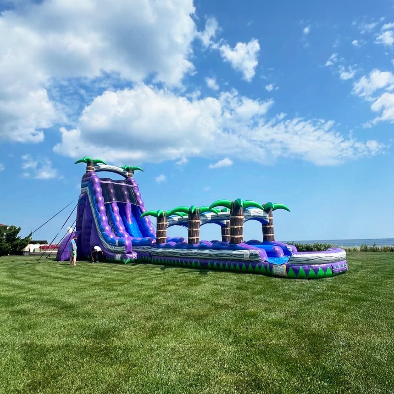 Juego Inflable • Selva Tropical • Tobogán Acuático • 20x4x8.5m • [A Pedido] • Arriendo