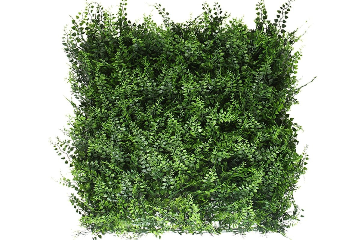 Jardín Vertical Ceiba • 50x50cm • 0,25m2